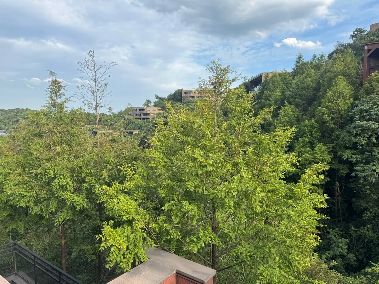 Sunlit trees cover a Moganshan hillside, with quiet guesthouse buildings tucked among the greenery.